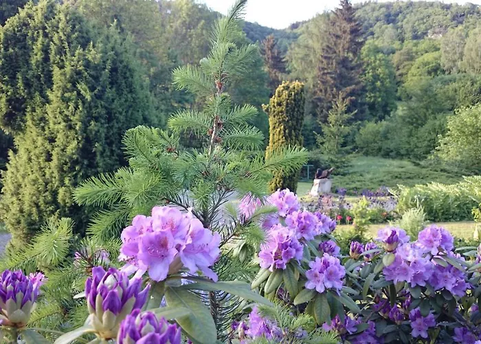 Altenbrak Haus Wilde